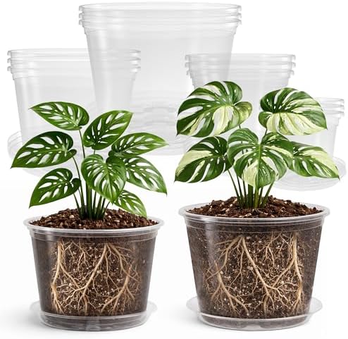 Bluepro Clear Nursery Pots with Saucers, 5/6/8/10 Inch, 12-Pack by Bluepro