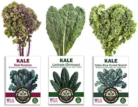 Collards, Kale, Spinach Seeds - Power Greens Variety Pack Collection: - Image 3