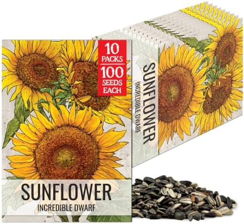 Seed Needs Incredible Dwarf Sunflower Seeds to Plant Cut Flowers - 10 Packs by SeedNeeds