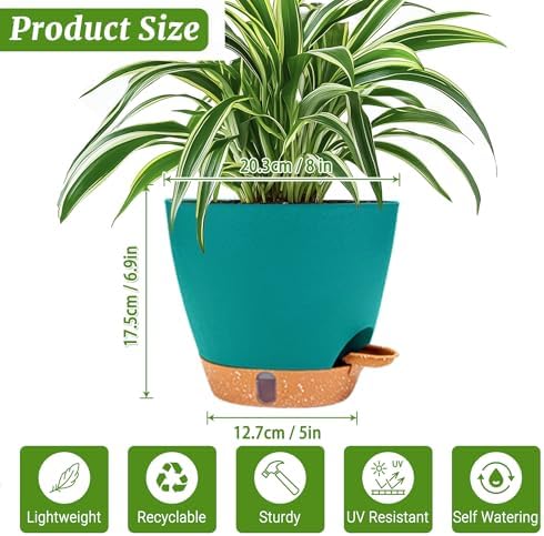 2 Pack 8 inch Plant Pots, Plastic Self Watering Planters - Image 3