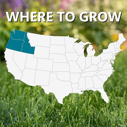 Jonathan Green Black Beauty Pacific Northwest Grass Seed Mixture - 7 lb - Image 4