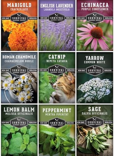 Medicinal Tea Herb Seeds for Planting | 9 Varieties - Survival Garden Seeds by SurvivalGardenSeeds