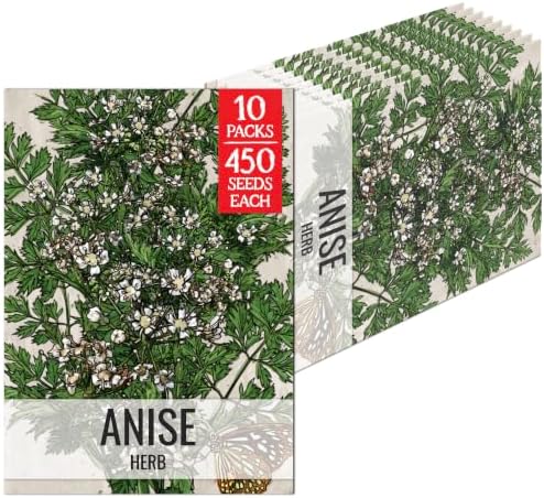 Seed Needs Anise Seeds to Plant an Herb Garden - 10 Packs by SeedNeeds