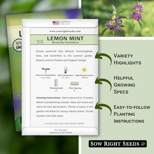 Sow Right Seeds - Lemon Mint Seed for Planting Perennial Medicinal Herb 3pk - Image 2