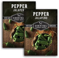 Jalapeño Pepper Seeds for Planting - 2 Packs by SurvivalGardenSeeds