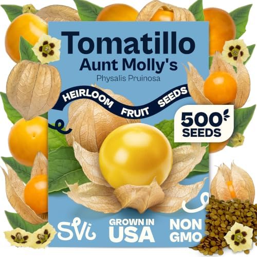 SVI 500 Pineapple Ground Cherry Seeds (Physalis pruinosa) – Tomatillo Seed Packets, Golden Berries, Ground Cherries Seed Pack – Annual Heirloom Fruit and Vegetable Seeds For Outdoor Garden, Raised Bed by SVI