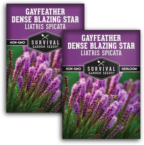 Dense Blazing Star Seeds for Planting - Gayfeather Wildflower (2 Pack) by SurvivalGardenSeeds