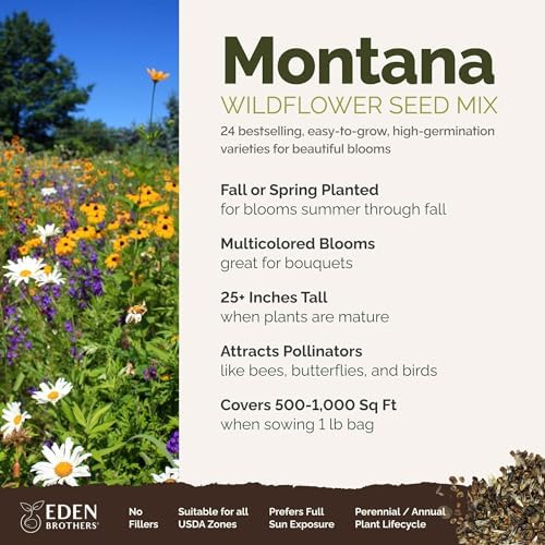 Eden Brothers Montana Wildflower Mixed Seeds for Planting, 1 lb - Image 2