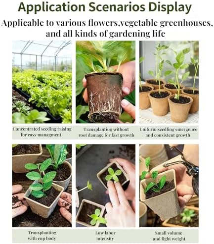 Peat Pots for Seedlings, Seed Starter Pots, 40 Pcs 3.15 Inch, Biodegradable Plant Starter Nursery Pots with Drainage Holes, Organic Round Planting Pots for Vegetables Herbs - Image 5