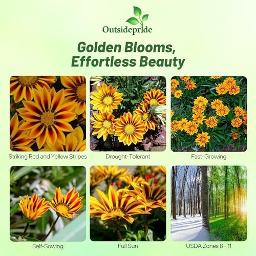 Outsidepride New Day Red Striped Gazania Seeds for Planting – 50 Pcs Perennial, Low-Maintenance, Drought-Tolerant Ground Cover Seeds for Vibrant Summer & Fall Flowers, Great for Outdoor Gardens - Image 2
