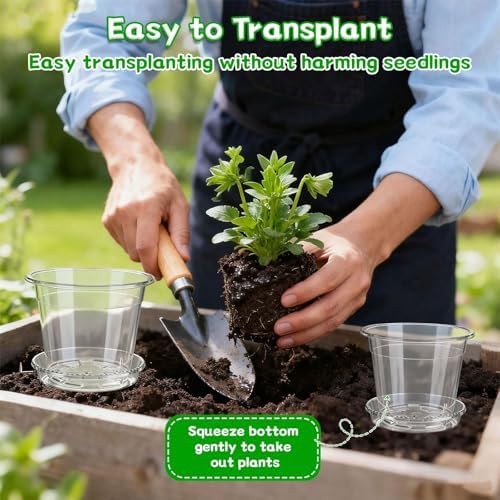 3/4/5/6/7 Inch Clear Nursery Pots with Drainage Holes, Saucers, Plant Tags - Image 4