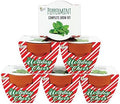BUZZY Seeds Candy Cane Peppermint Grow Kit 6-Pack, Terracotta Pots by BUZZY