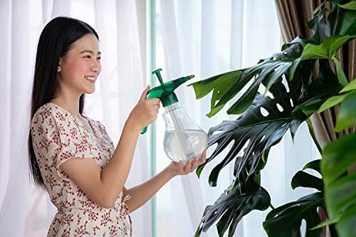American Plant Exchange Monstera Deliciosa – Live 10-Inch Pot Split Leaf Plant, Large Statement Houseplant, Easy-Care Low-Maintenance Air Purifying Tropical Vine for Home, Office & Garden Décor - Image 5
