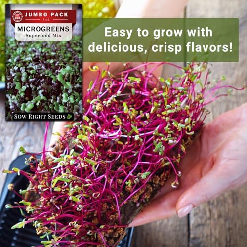 Sow Right Seeds- 7000 Superfood Mix Microgreen Seed for Growing Bulk Indoor - Image 6