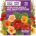 75 Single Mix Nasturtium Heirloom Flower Seeds, Tropaeolum Majus by KVITER