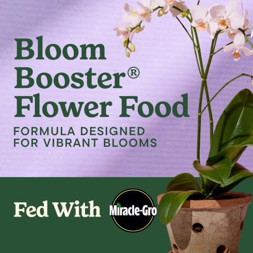 Miracle-Gro LiquaFeed Bloom Booster Flower Food, 16 fl. oz. (2 Pack) - Image 2