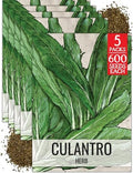 Seed Needs Culantro Seeds to Plant an Herb Garden - 5 Packs by SeedNeeds