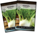 Sow Right Seeds-Florence Fennel Seed for Planting Perennial Herb Garden 2pk by SowRightSeeds