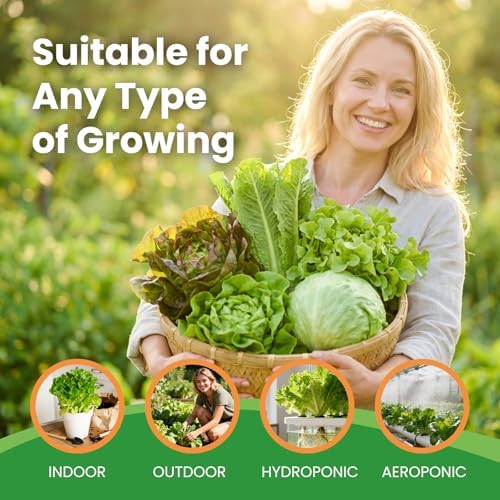 7 Variety Mix Lettuce Seeds - 7000+ Heirloom Lettuce Seeds for Planting Including Romaine, Butter Lettuce, Iceberg Lettuce, etc - Outdoor Hydroponics Gardens Fresh Leafy Green Vegetables Easy to Grow - Image 4
