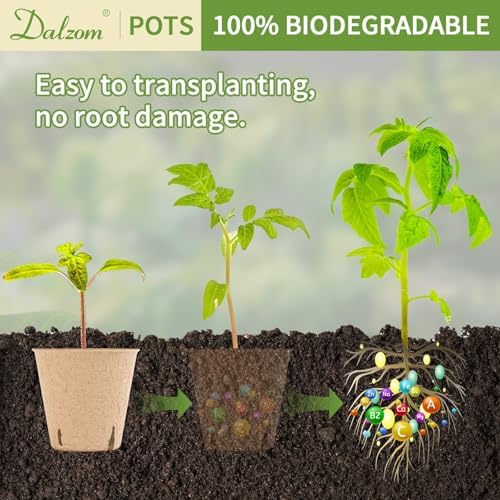 Dalzom® 60Pcs 3.1” Peat Pots with 60Pcs Plant Labels, Biodegradable Pots for Seedlings with Drainage Holes, Garden Plant Nursery Pots Seed Starting Trays - Image 5
