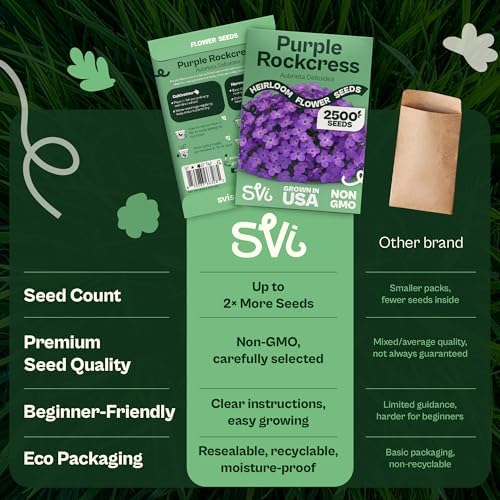 SVI 2500 Purple RockCress Seeds (Aubrieta deltoidea) – Purple Rock Cress Seed Packets – Ground Cover Garden Flowers Perennial Flower Seeds for Rock Gardens, Walls & Outdoor Flower Garden - Image 6