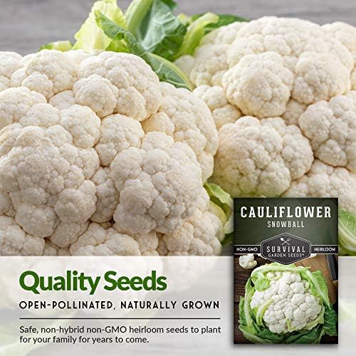 White Cauliflower Seeds for Planting, Snowball Variety - 1 Pack - Image 3
