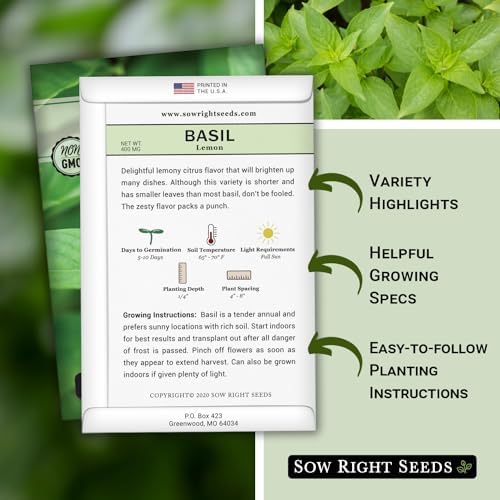 Sow Right Seeds - Lemon Basil Seed for Planting Indoor Outdoor - Image 2