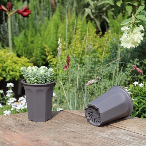 17 PCS 3.55" Plastic Deep Nursery and Seedling Pots, Round Transplant Seed Starter Planter,Gray Color - Image 5