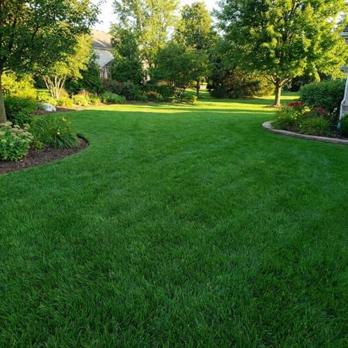 10000 Zoysia Grass Seeds for Lawn, Emerald Zoysia Grass Seed - Image 6