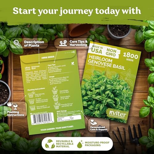 3,600 Genovese Basil Heirloom Herb Seeds for Planting, Ocimum Basilicum - Image 2