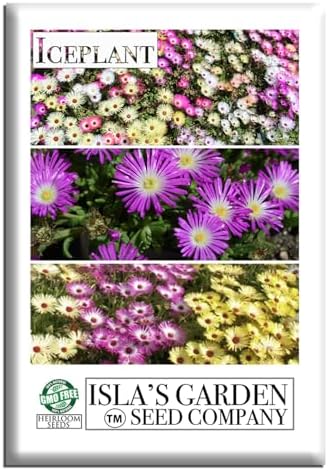 Iceplant Mix Flower Seeds (Dorotheanthus bellidiformis)– 2000+ Heirloom Non-GMO Seeds by Isla’s Garden Seeds, Livingstone Daisy Ice Plant Wildflower Mix, Drought-Tolerant Groundcover Blooms, Sprawling by IslasGardenSeedsCompany