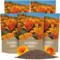 Bulk California Orange Poppy Wildflower Seeds - 5 Pounds - Over 1,600,000 Native Seeds - California State Flower! by SweetYards