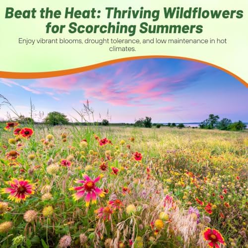 Outsidepride Southwest Wild Flower Seed Mix - 1/4 lb. Heat & Drought Tolerant Premium Blend of Annual & Perennial Wildflower Seeds for Planting on Outdoor Lawns & Gardens from Spring to Fall - Image 6