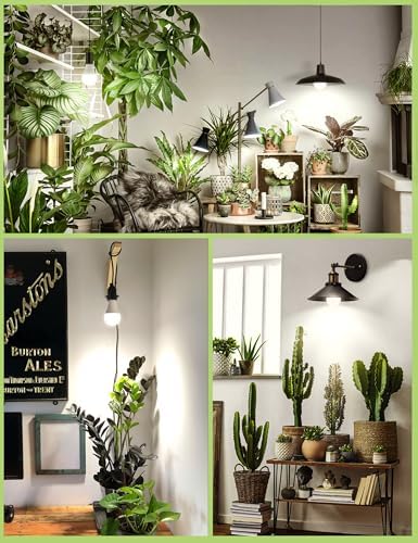 A19 Grow Light Bulbs, 9W Full Spectrum Plant Light Bulb for Indoor - Image 6