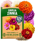 HOME GROWN Zinnia Dahlia Seeds, 524 Seeds, Zinnia elegans by HOMEGROWN