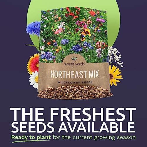 Northeast Wildflower Seeds - Extra Large 1 Ounce Packet - Over 7,500 Native Seeds - Open Pollinated and Non GMO Varieties for New York, Virginia, Pennsylvania, Maine and More! (Pack of 3) - Image 2