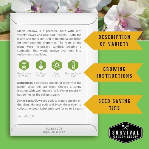 Marsh Mallow Seeds for Planting - Survival Garden Seeds (3 Pack) - Image 2