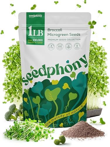 Broccoli Sprouting & Microgreens Seeds - 130,000 Non-GMO Heirloom Seed, 1lb Resealable Bag - High-Germination Broccoli Seeds for Sprouting in Jars, Soil, Hydroponics & Microgreen Trays by Seedphony