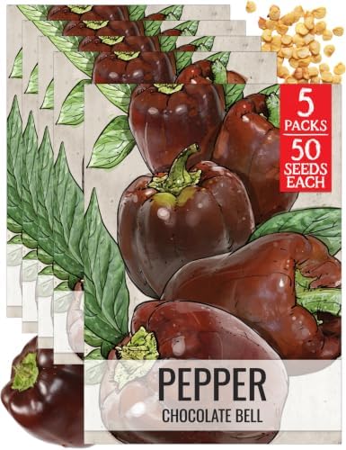 Seed Needs Sweet Chocolate Bell Pepper Seeds to Plant Vegetables - 5 Packs by SeedNeeds