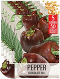 Seed Needs Sweet Chocolate Bell Pepper Seeds to Plant Vegetables - 5 Packs by SeedNeeds