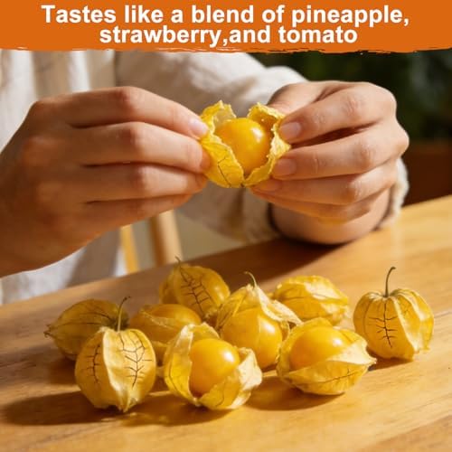 3000+ Ground Cherry Seeds for Planting, Vegetable Garden Heirloom Seeds - Image 4