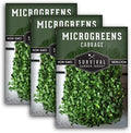 Cabbage Microgreen Seeds for Sprouting - 3 Packs by SurvivalGardenSeeds