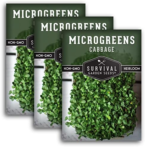 Cabbage Microgreen Seeds for Sprouting - 3 Packs by SurvivalGardenSeeds