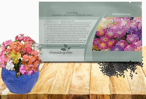 Outsidepride Rainbow Mix Lewisia Flower Seeds for Planting - 100 Pcs Drought-Tolerant Perennial Flower Seeds with Attractive Flowers & Rosette Green Foliage for Xeriscape Gardens & Rock Walls by Outsidepride