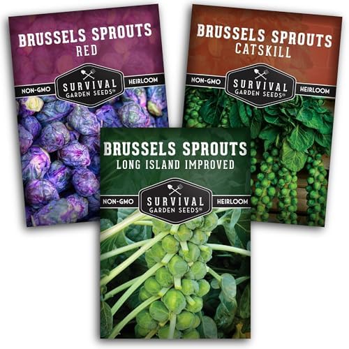 Brussels Sprouts Seeds 3 Variety Pack for Planting - Survival Garden Seeds by SurvivalGardenSeeds