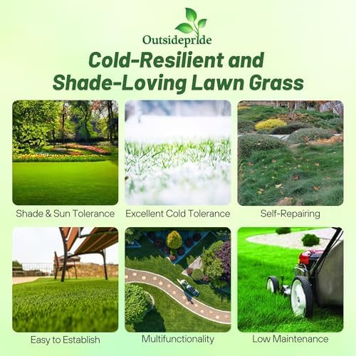 Outsidepride Creeping Red Fescue Grass Seed - 25 Lbs. Perennial, Pure Raw Seed w/ 0.00% Other Crop & Weed Seed - Image 3