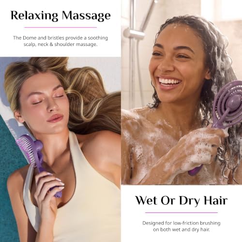 OO!brush Detangling Hair Brush, Wet & Dry, For All Hair Types - Image 6