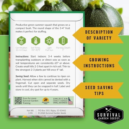 Round Zucchini Seeds for Planting - 2 Packs - Image 2