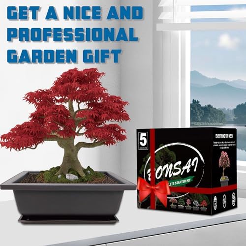Bonsai Starter Kit, 5 Seeds Growing into Acacia, Wisteria, Sakura, Red Maple and Black Pine, Including Complete Gardening Tools with A Gift Box for Men Women Beginners - Image 5