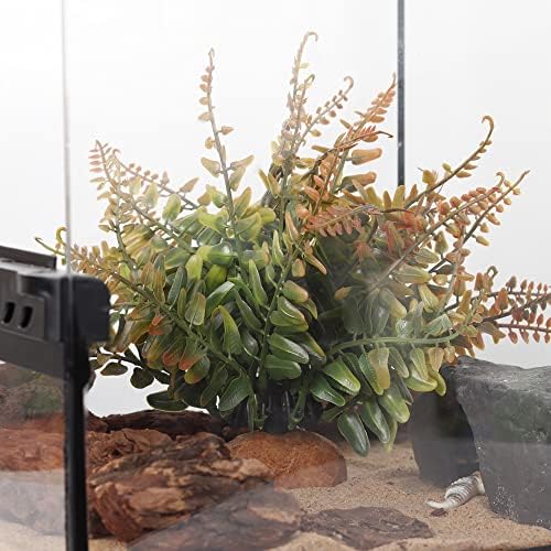 Fall Colors Boston Fern, Reptile Terrarium Snake Tank Accessories - Image 6